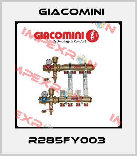 R285FY003  Giacomini