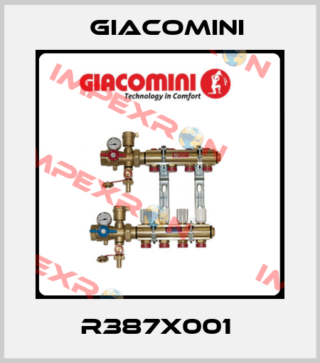 R387X001  Giacomini