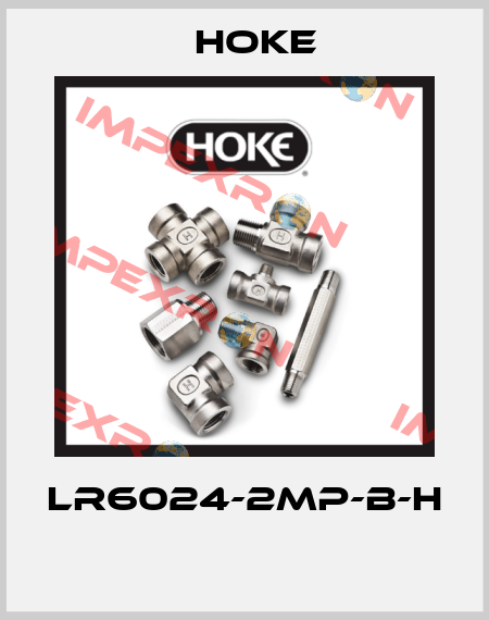 LR6024-2MP-B-H  Hoke