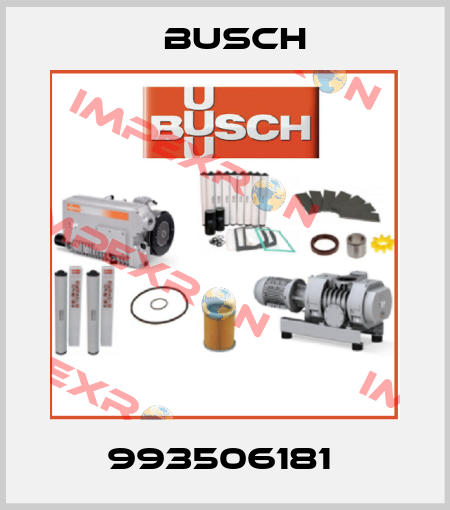 993506181  Busch