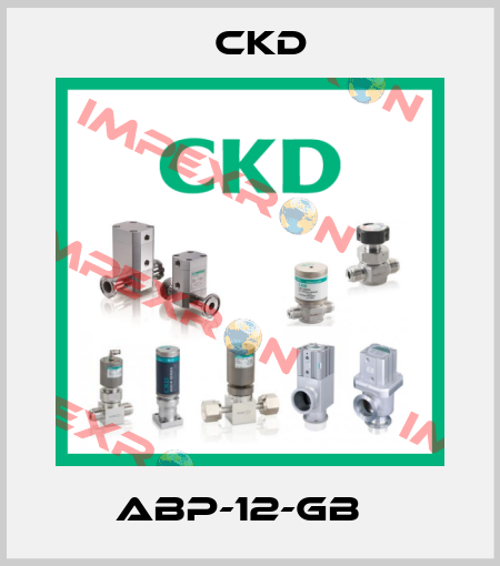 ABP-12-GB   Ckd