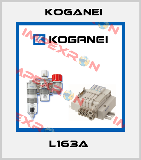 L163A  Koganei