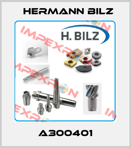 A300401 Hermann Bilz
