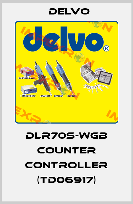 DLR70S-WGB Counter Controller (TD06917) Delvo