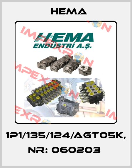 1P1/135/124/AGT05K, Nr: 060203  Hema