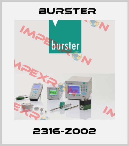 2316-Z002 Burster