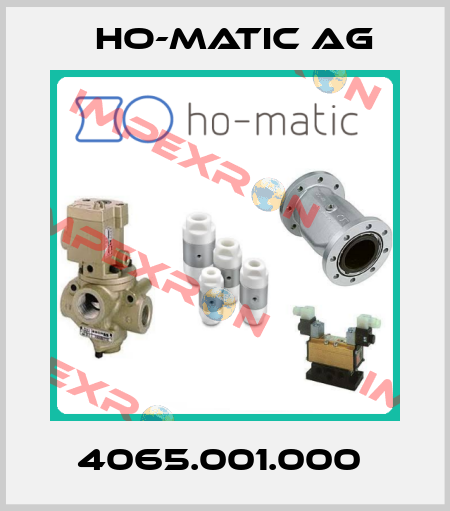 4065.001.000  Ho-Matic AG