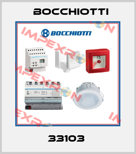 33103  Bocchiotti