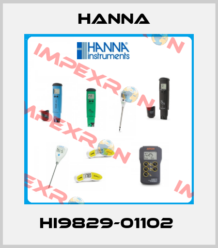HI9829-01102  Hanna