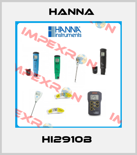 HI2910B  Hanna