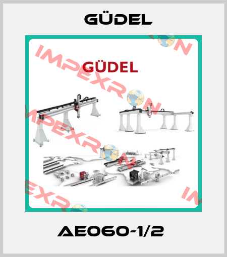 AE060-1/2  Güdel