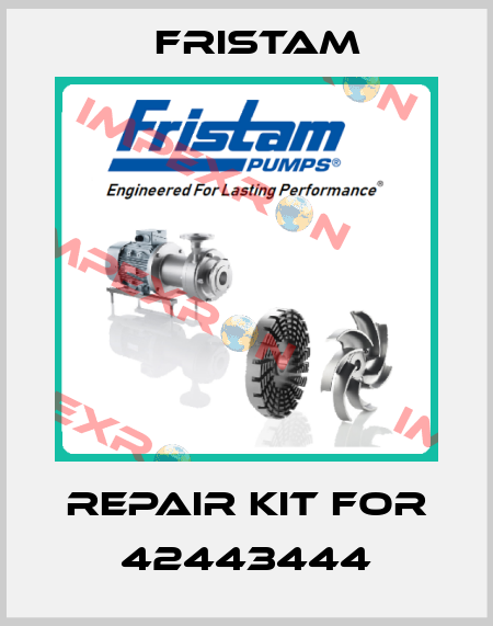Repair kit for 42443444 Fristam
