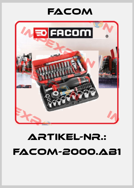 ARTIKEL-NR.: FACOM-2000.AB1  Facom