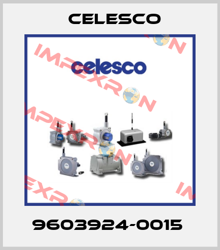 9603924-0015  Celesco