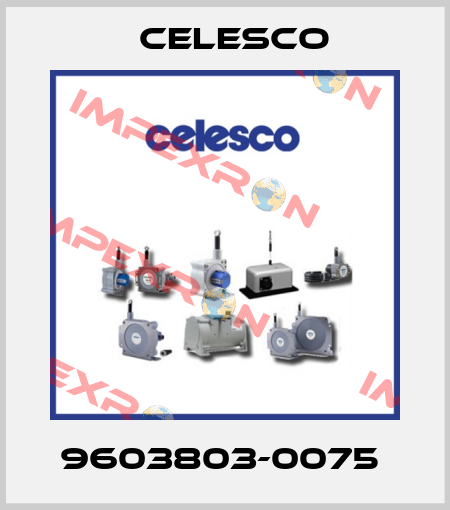 9603803-0075  Celesco
