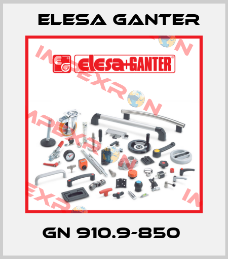GN 910.9-850  Elesa Ganter