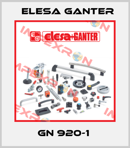 GN 920-1  Elesa Ganter