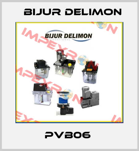 PVB06  Bijur Delimon