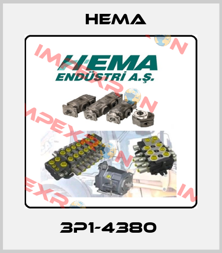 3P1-4380  Hema