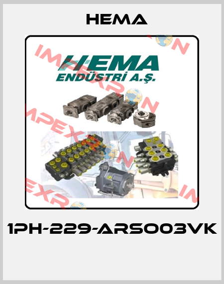 1PH-229-ARSO03VK  Hema