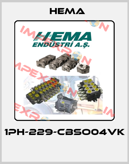 1PH-229-CBSO04VK  Hema