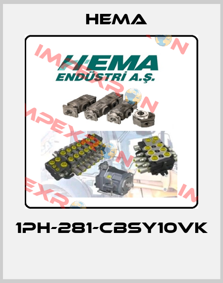 1PH-281-CBSY10VK  Hema