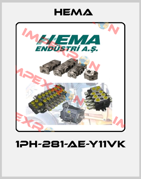 1PH-281-AE-Y11VK  Hema