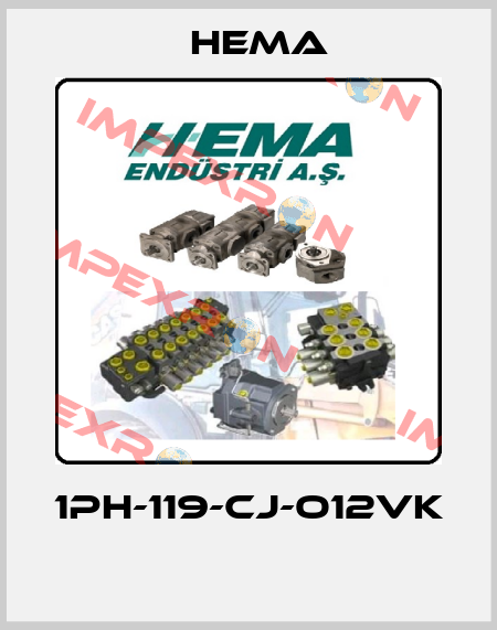 1PH-119-CJ-O12VK  Hema