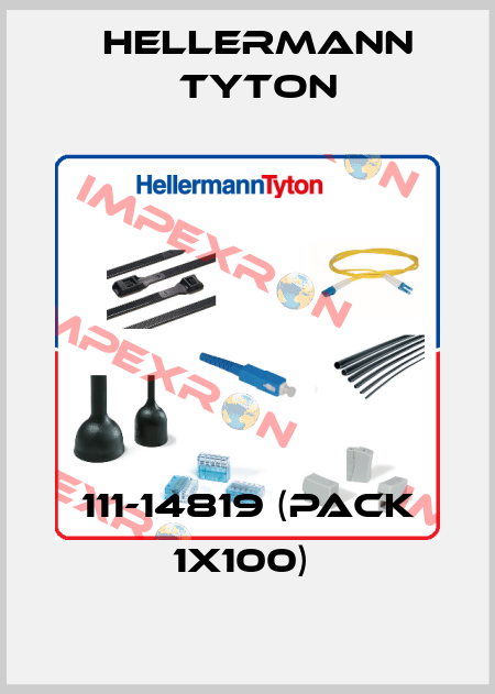 111-14819 (pack 1x100)  Hellermann Tyton