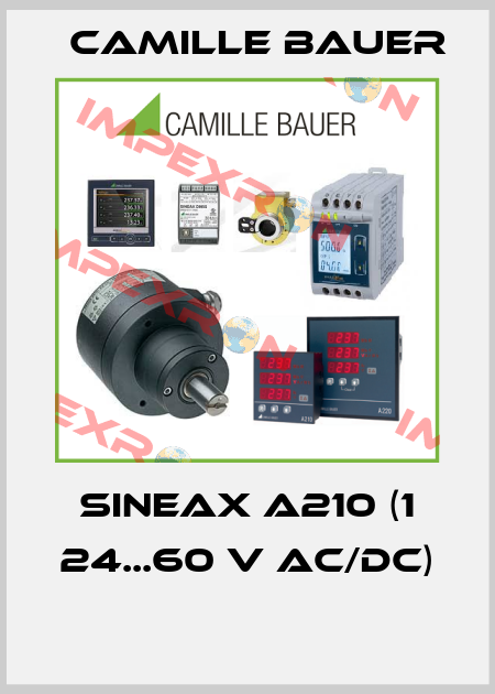 SINEAX A210 (1 24...60 V AC/DC)  Camille Bauer
