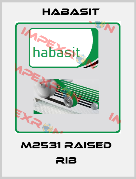 m2531 raised  rib  Habasit