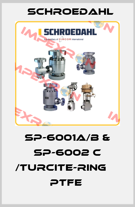 SP-6001A/B & SP-6002 C /TURCITE-RING               PTFE  Schroedahl