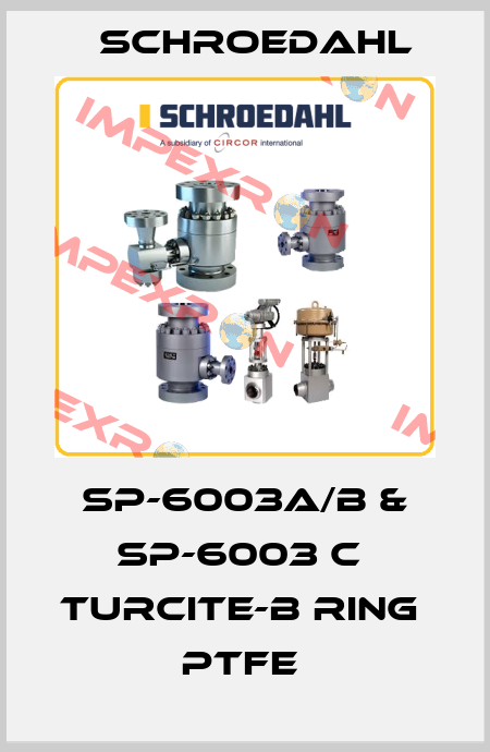  SP-6003A/B & SP-6003 C  TURCITE-B RING     PTFE  Schroedahl