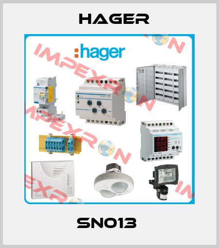 SN013  Hager