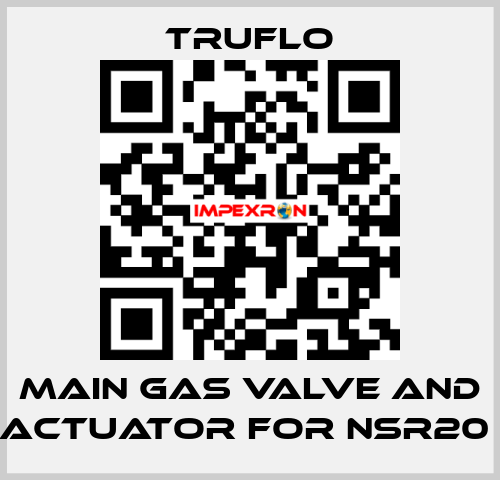 Main Gas Valve and Actuator For NSR20  TRUFLO
