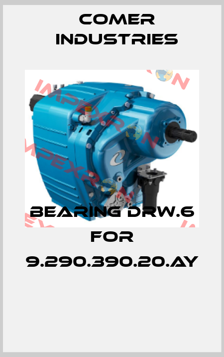 BEARING DRW.6 FOR 9.290.390.20.AY  Comer Industries