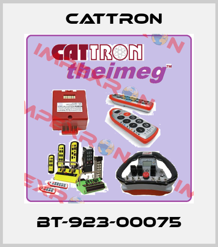 BT-923-00075 Cattron