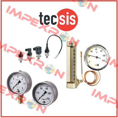 P1611B069904  Tecsis (WIKA Group)