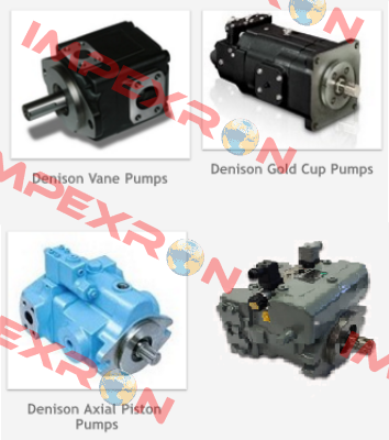 C5V12-300-B1 3000PSI  Denison (Parker)