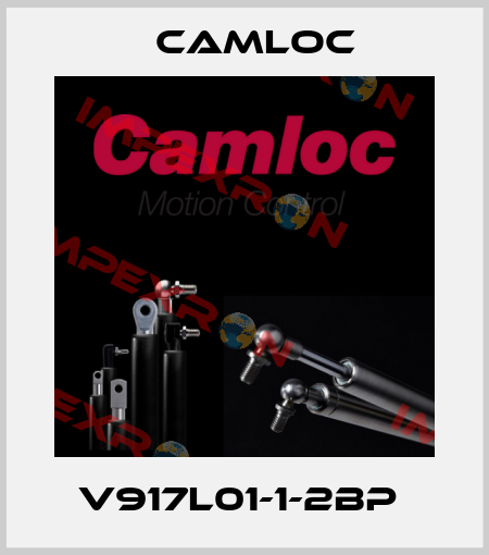 V917L01-1-2BP  Camloc