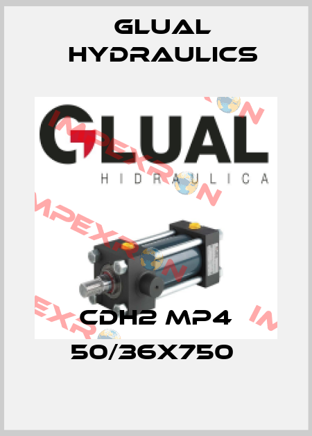 CDH2 MP4 50/36X750  Glual Hydraulics