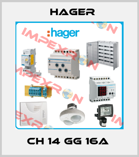 CH 14 GG 16A  Hager