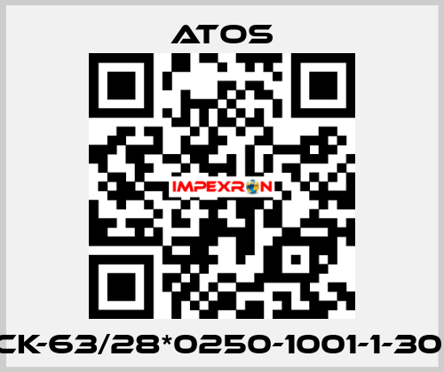 CK-63/28*0250-1001-1-30  Atos