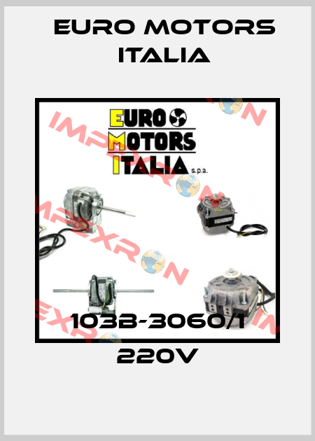 103B-3060/1 220V Euro Motors Italia