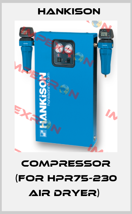 COMPRESSOR (FOR HPR75-230 AIR DRYER)  Hankison