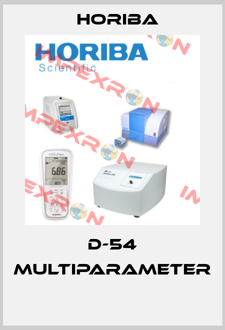 D-54 MULTIPARAMETER  Horiba