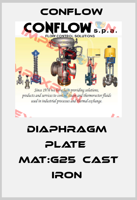 DIAPHRAGM  PLATE   MAT:G25  CAST IRON  CONFLOW