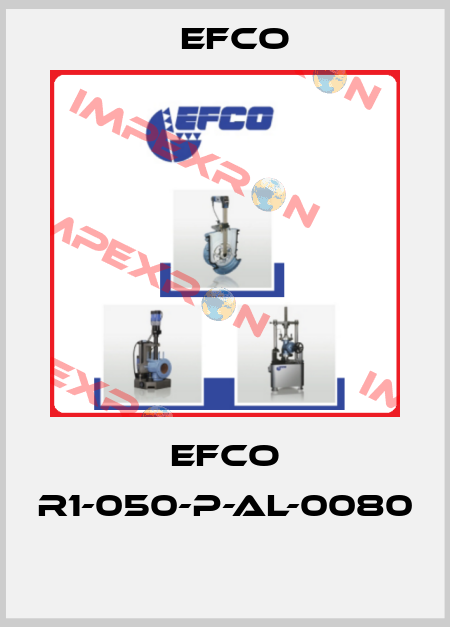 EFCO R1-050-P-AL-0080  Efco