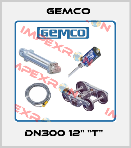 DN300 12" "T"  Gemco