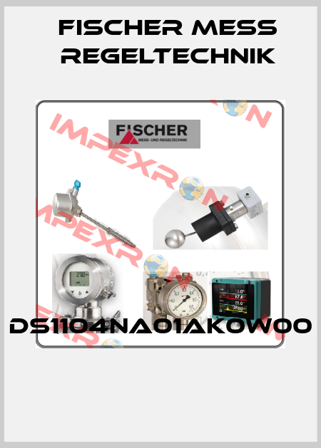 DS1104NA01AK0W00  Fischer Mess Regeltechnik